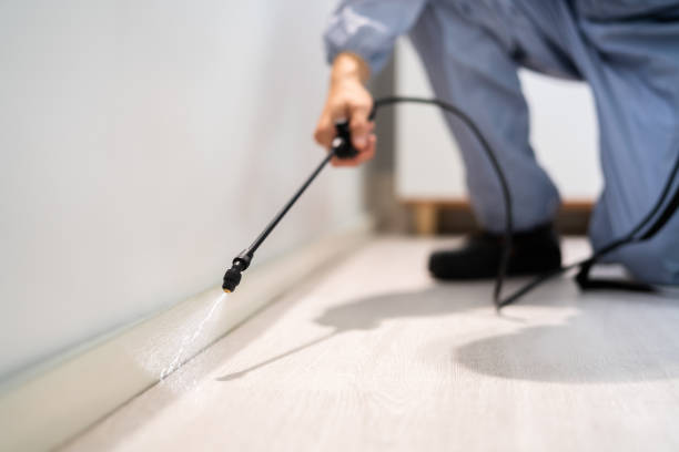 Licensed Pest Control service in Fayette, MS - Show Me Pest Control